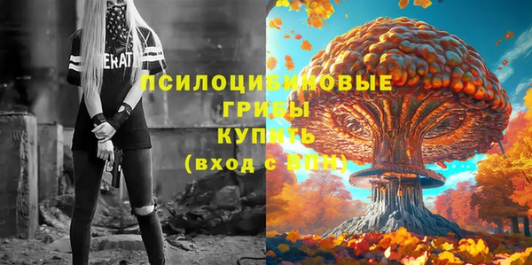 apvp Горнозаводск