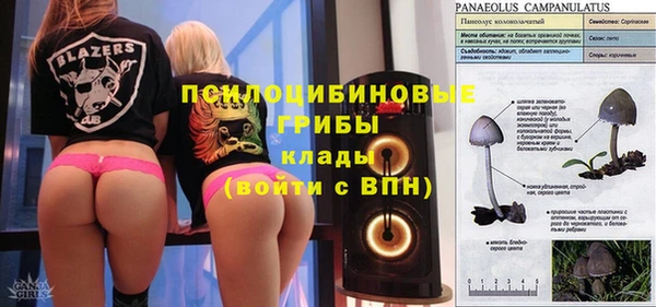 гидропоника Гусь-Хрустальный
