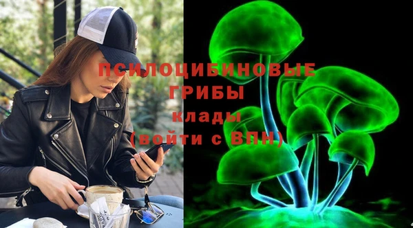 mix Гусев