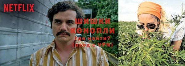 первитин Горняк