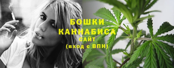 первитин Горняк