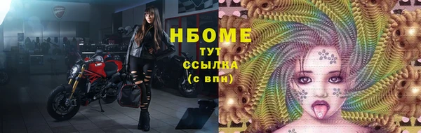 гидропоника Гусь-Хрустальный